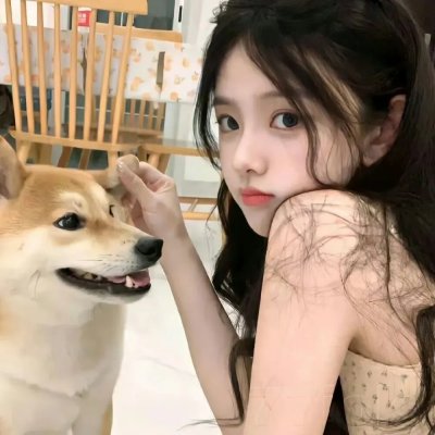 美丽国度海报