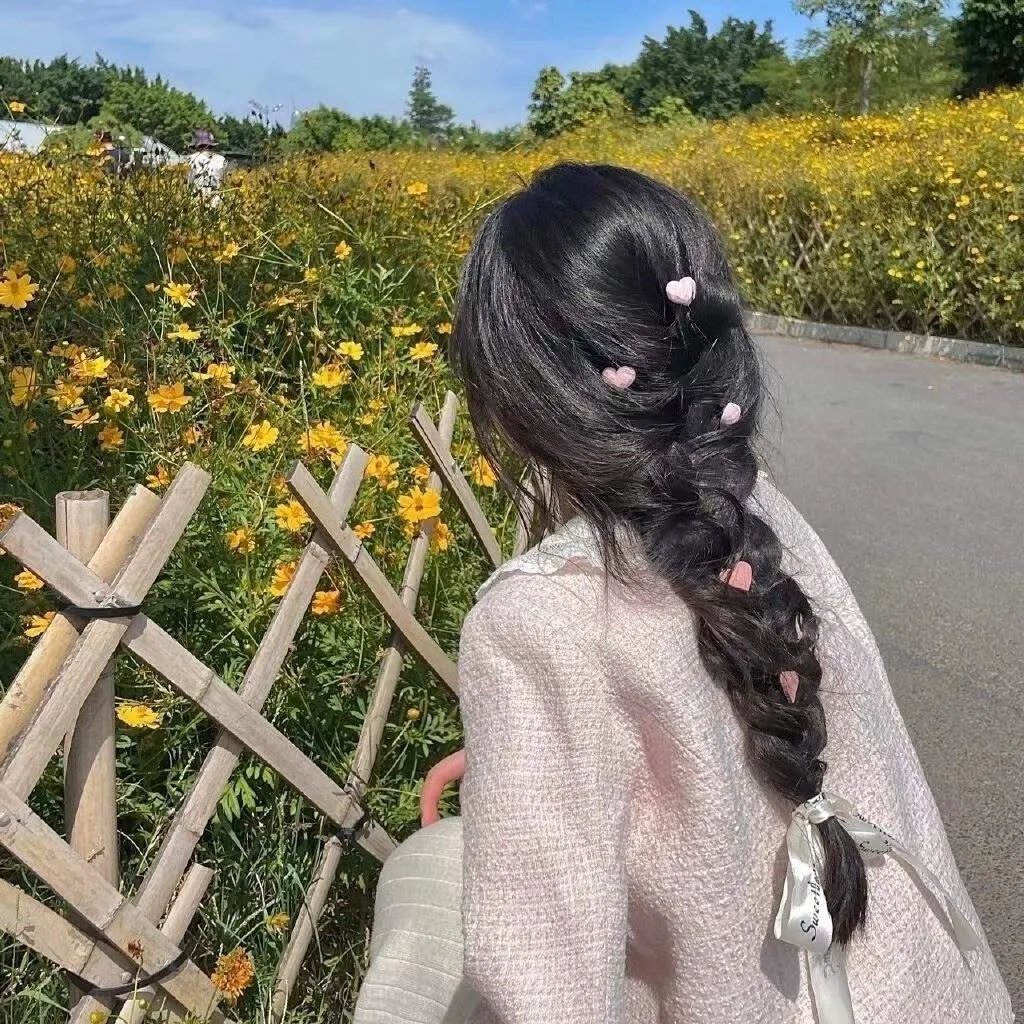 木府风云海报